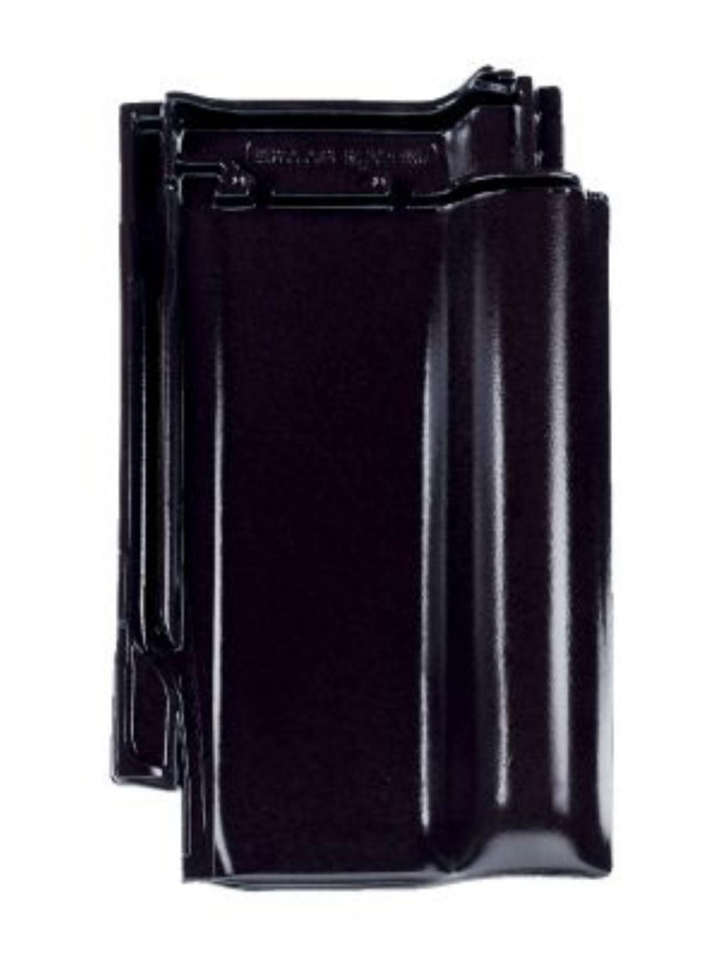 Dachsteine brillantschwarz