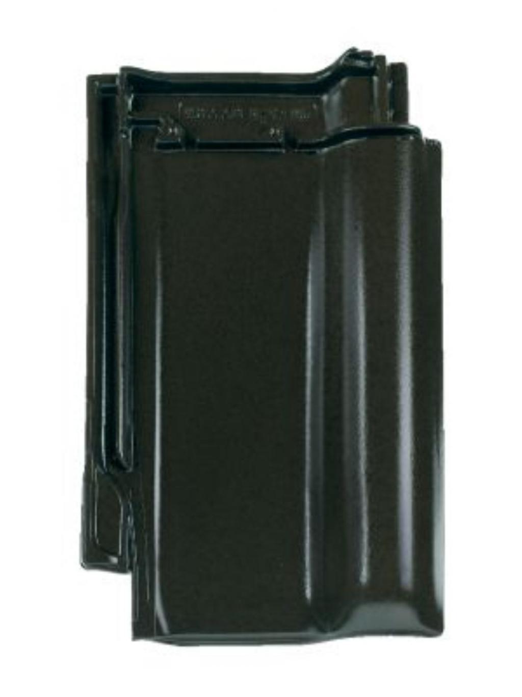 Dachsteine tanne